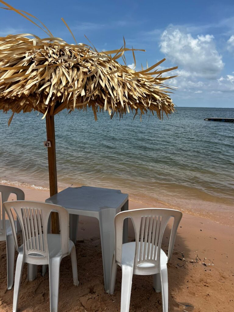 whatsapp image 2025 11 08 at 18.25.34